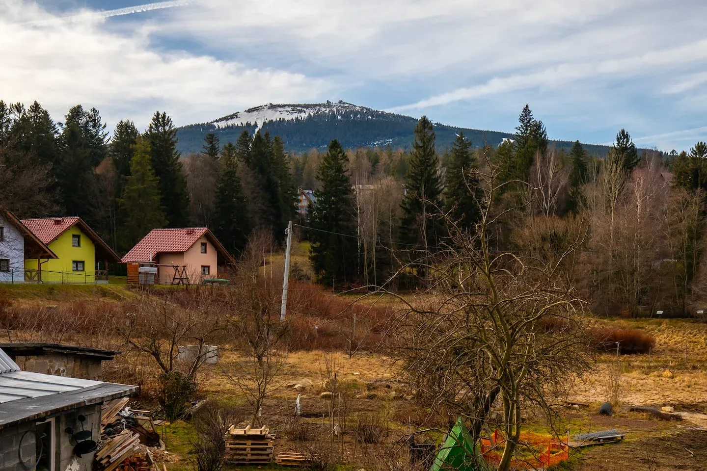 Berge und Bäume in der Umgebung von Belle View